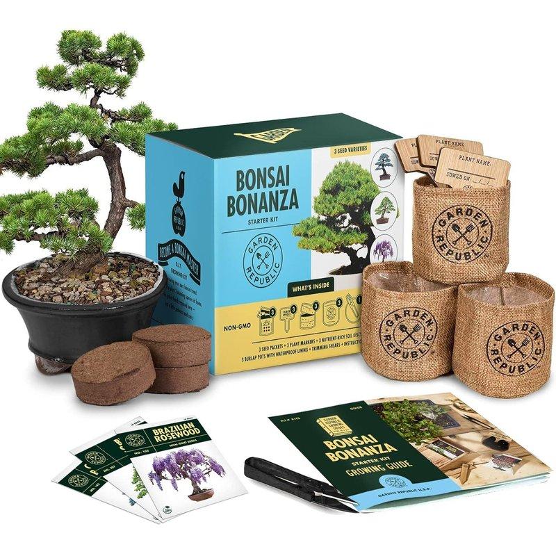 Siyah Mavi Bonsai Yetiştirme Kiti - 0.2 kg - 496857